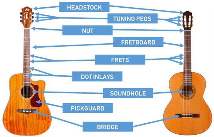 acoustic guitar strings labeled