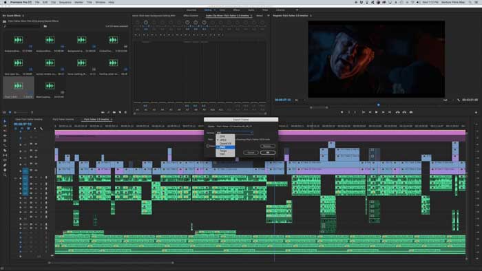 Adobe Premiere Pro