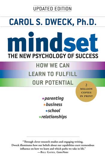 Mindset book