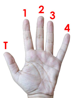 Left hand finger numbering