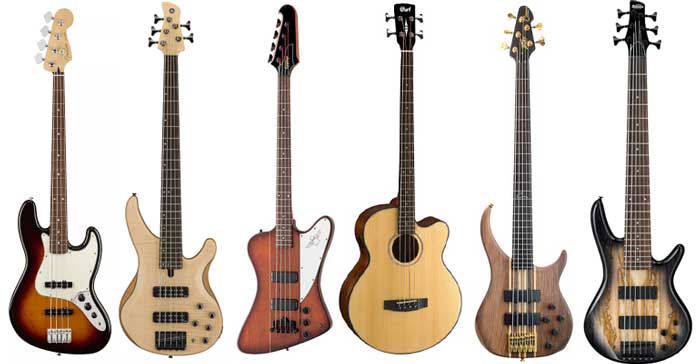 What Are The Different Types Of Bass Guitars Deals | ststephen-pc.gov.uk