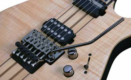 floyd rose whammy