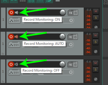 Reaper audio monitoring