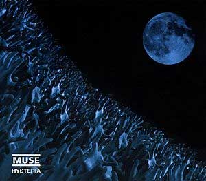 Muse Hysteria
