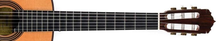 ADD FRETBOARD DOTS TO A GUITAR THAT HAS NONE visual data 2