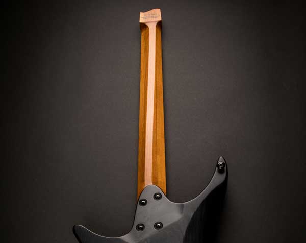 Strandberg Endurneck