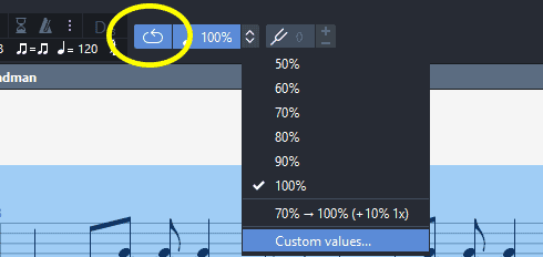 Guitar Pro looping tool