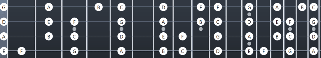 Bass fretboard notes