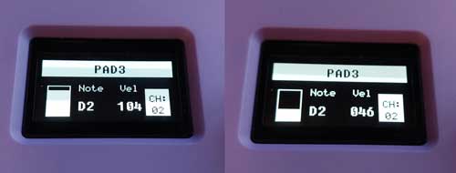 Synido TempoKEY W25 OLED Screen